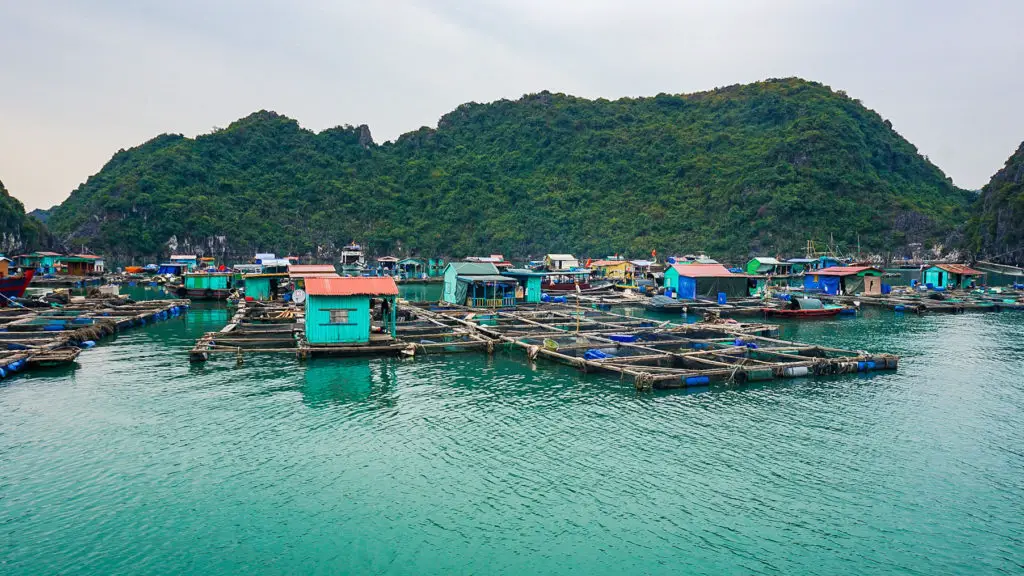 Photo of a fishing village near Cat Ba Island