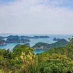 Ha Long Bay and green landscape