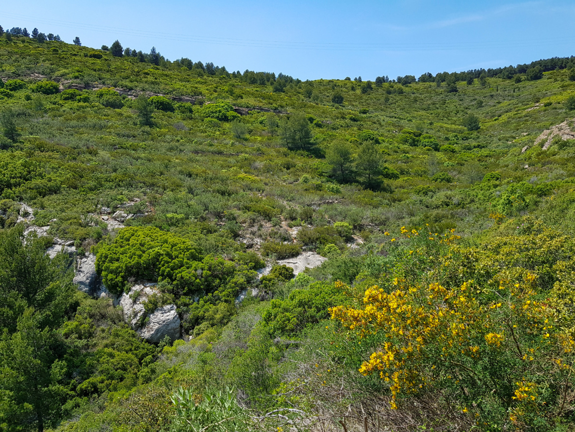 Top 8 Things to See and Do in La Ciotat, France | SWTliving