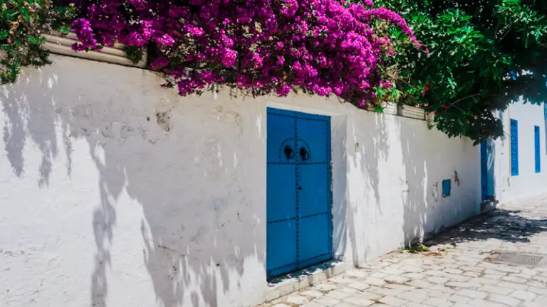 How to Spend One Day in Sidi Bou Saïd, Tunisia's Picturesque Town ...