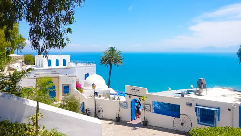 location yacht sidi bou said