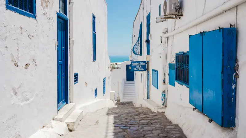 location yacht sidi bou said